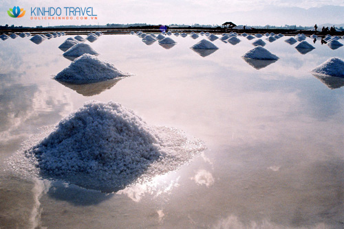  tour du lịch Nha Trang gia re, dia diem du lich nha trang